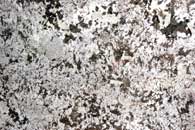 Granite: Bianco Antico
